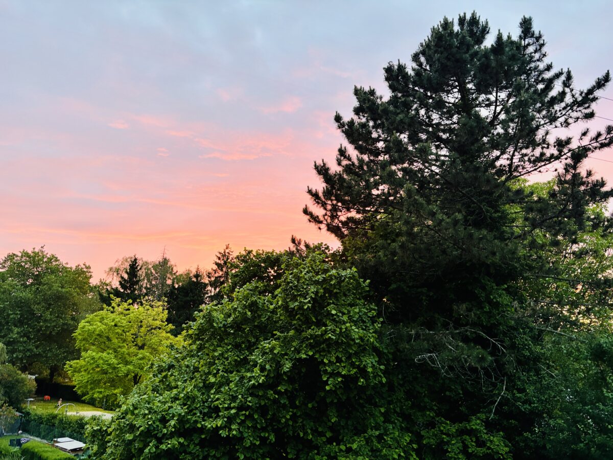 Why is the sky pink? The science behind colorful sunsets