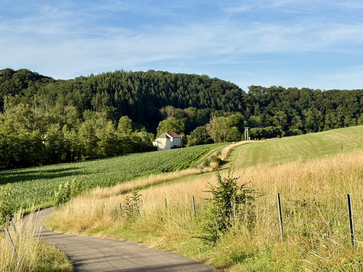 The green illusions of northern Luxembourg: travel Europe in one afternoon
