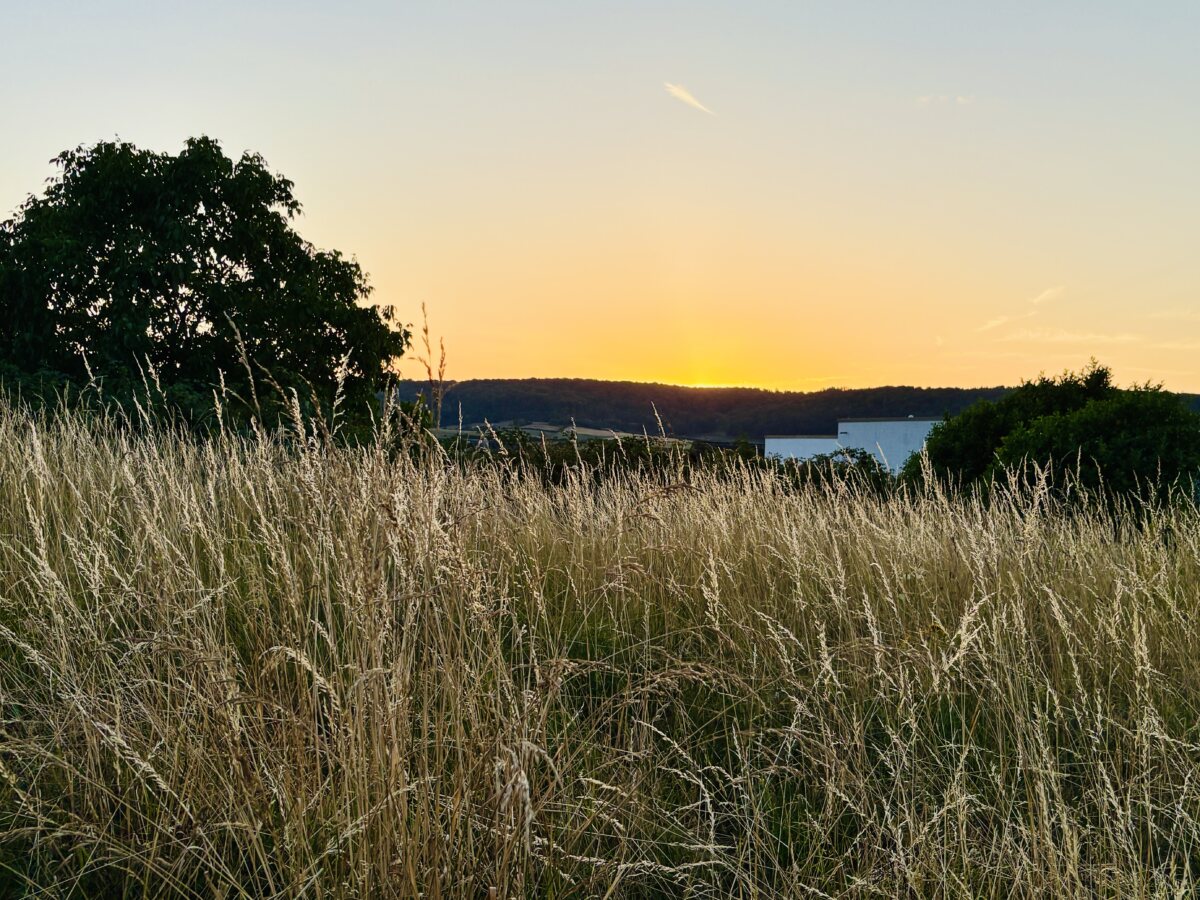 The golden hour over the rolling hills: A perfectly calm Luxembourgish sunset