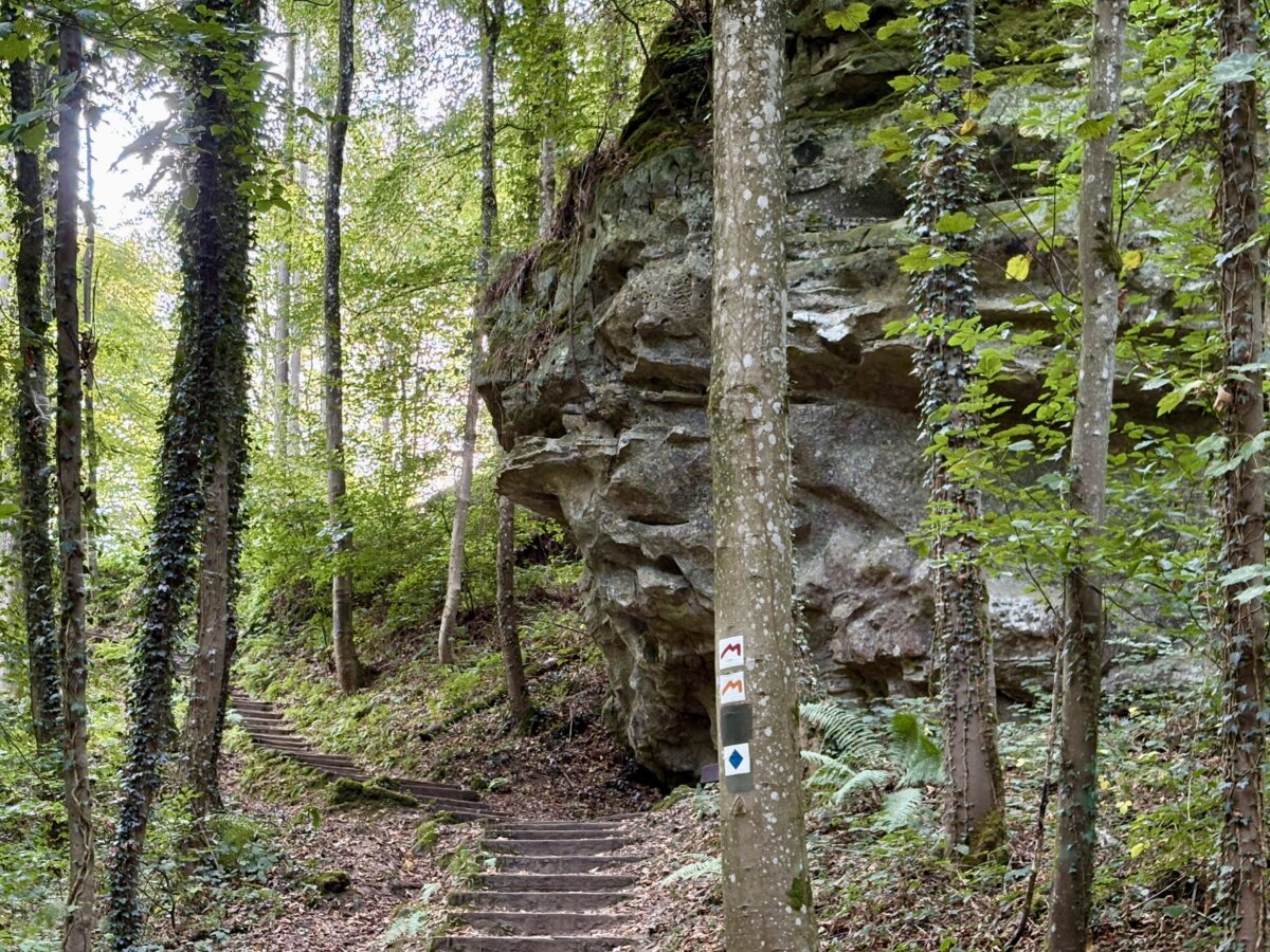 The rock formations of the Müllerthal: Why Luxembourg’s sandstone landscape is so unique