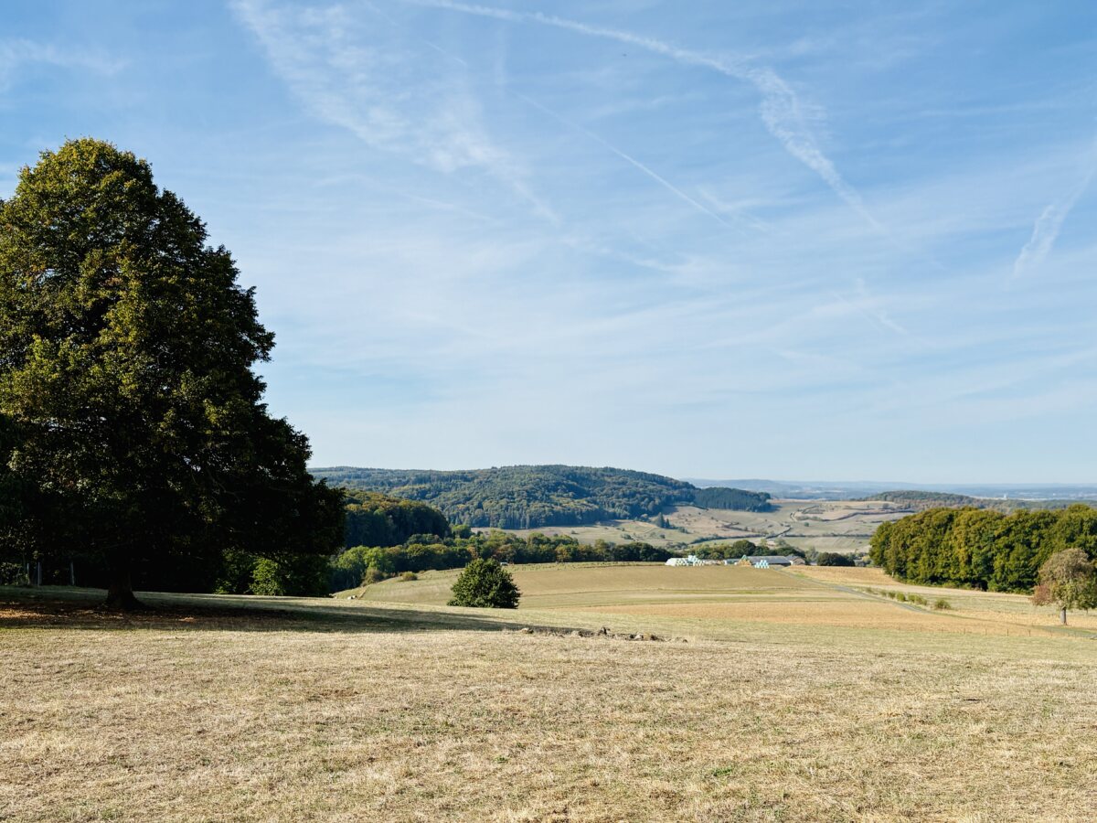 Luxembourg in a unusually dry autumn: Golden fields and thirsty soil near Medernach