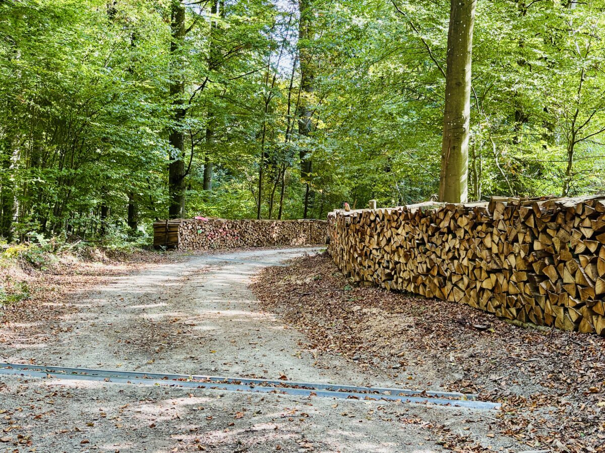 Forest agriculture in Luxembourg: Sustainable timber, local wood and winter heating